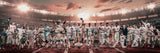 "Legends of the Past & Present" | Chicago Baseball Edition | 3 FT LONG ( 36x12")